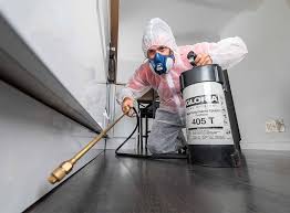 Best Fumigation Services  in Lawton, MI